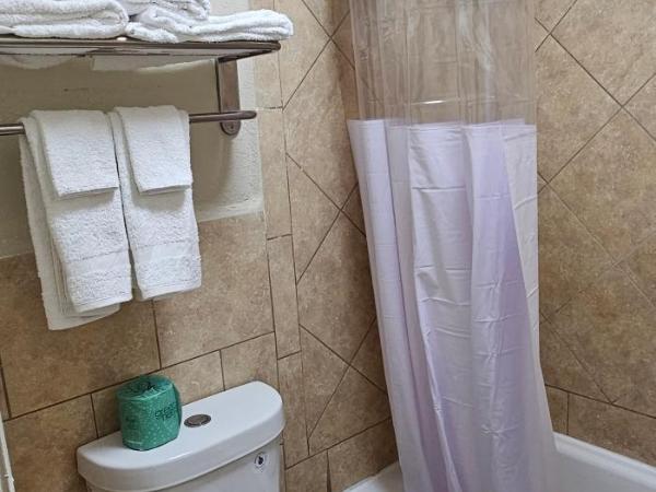 Econo Lodge Charlotte Airport : photo 1 de la chambre king room - non smoking/exterior corridor