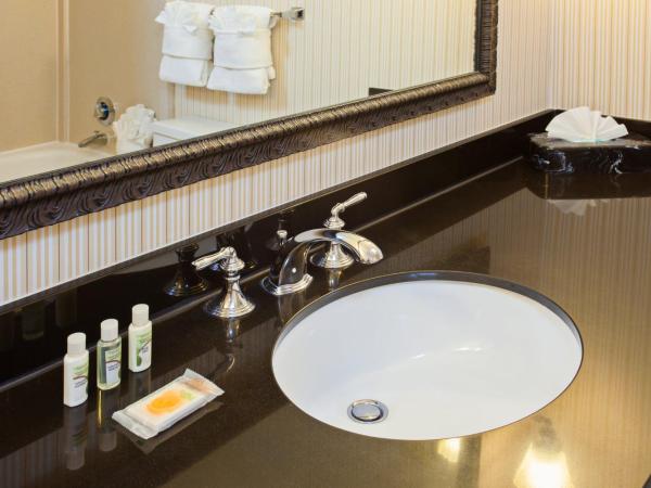 Holiday Inn Sacramento Downtown-Arena, an IHG Hotel : photo 2 de la chambre chambre standard