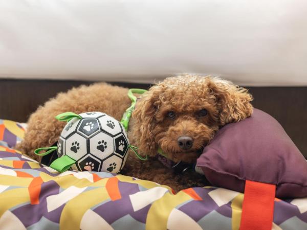 Hyatt Regency Sanya Tianli Bay : photo 3 de la chambre twin room with courtyard view - pet friendly