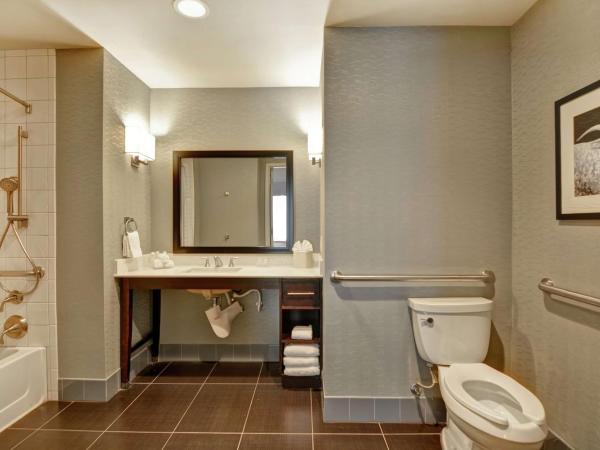 Homewood Suites TechRidge Parmer @ I-35 : photo 6 de la chambre king suite - mobility and hearing access/non-smoking