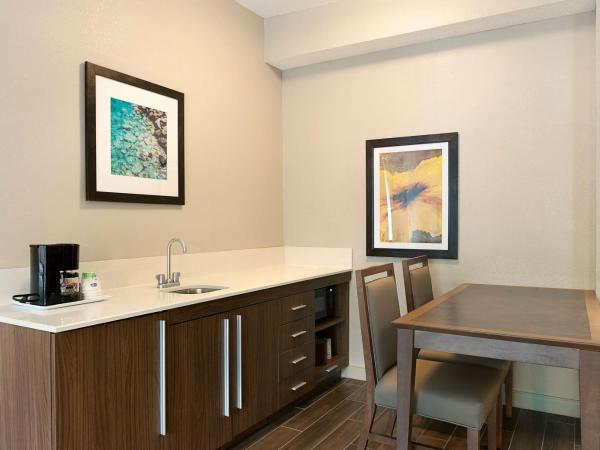 Hampton Inn & Suites Charlotte/Pineville : photo 3 de la chambre suite lit king-size – non-fumeurs