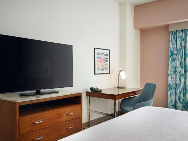 Hilton Garden Inn Atlanta Midtown : photo 3 de la chambre chambre lit king-size