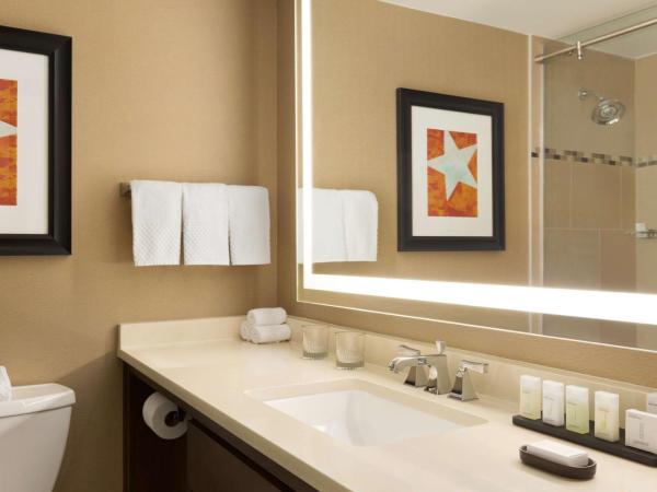 Embassy Suites by Hilton Austin Downtown South Congress : photo 5 de la chambre suite 2 chambres - non-fumeurs