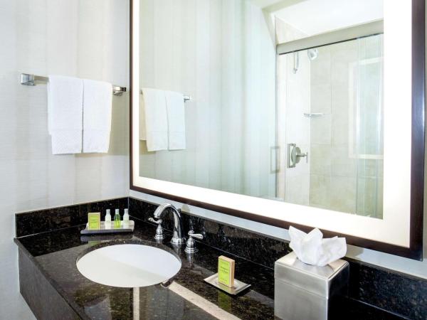 DoubleTree by Hilton Hotel Nashville Downtown : photo 8 de la chambre chambre lit king-size