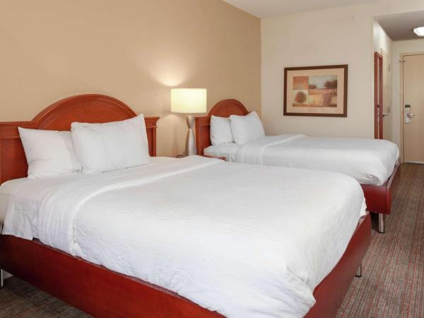 Hilton Garden Inn Charlotte North : photo 1 de la chambre chambre avec 2 grands lits queen-size