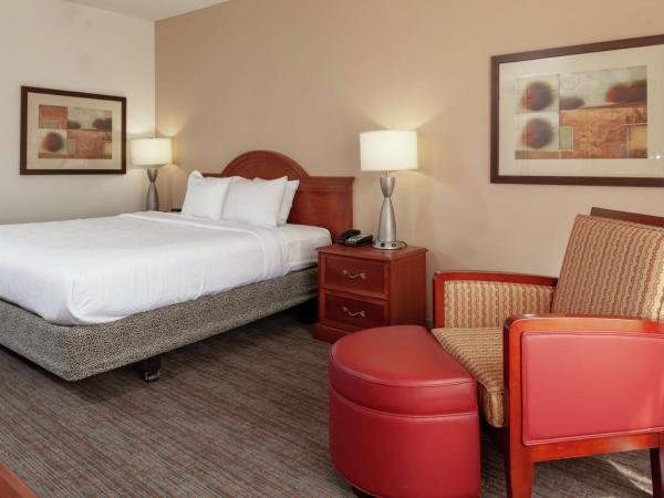 Hilton Garden Inn Charlotte North : photo 1 de la chambre chambre lit king-size