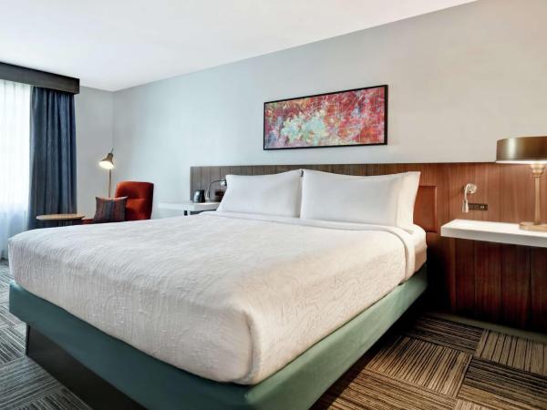Hilton Garden Inn Houston/Galleria Area : photo 1 de la chambre chambre lit king-size