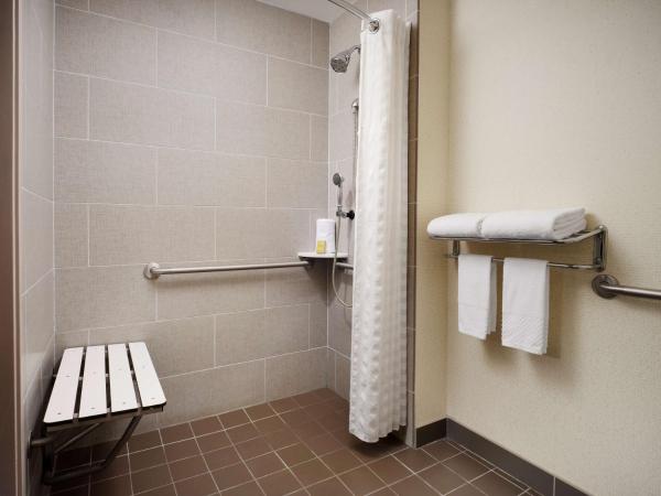 DoubleTree by Hilton Hotel Philadelphia Center City : photo 6 de la chambre studio lit king-size - accessible aux personnes à mobilité réduite