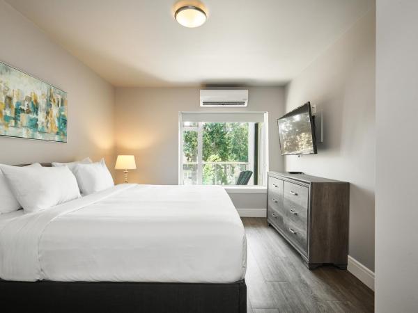 SoLo Suites : photo 7 de la chambre appartement 1 chambre