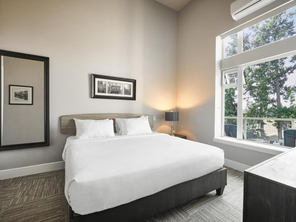 SoLo Suites : photo 6 de la chambre suite exécutive