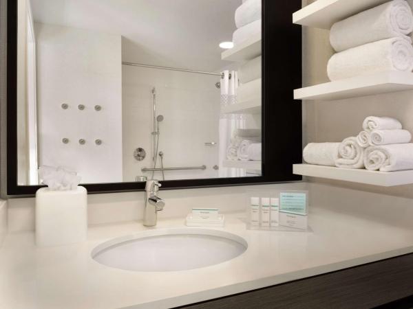 Hampton Inn by Hilton Chicago Downtown West Loop : photo 5 de la chambre chambre lit king-size - accessible aux personnes à mobilité réduite - non-fumeurs 