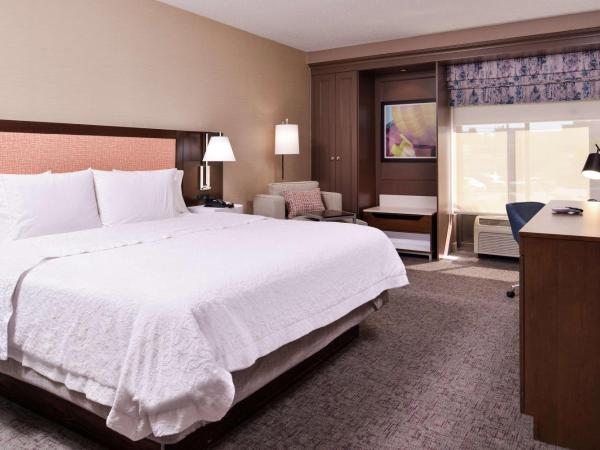 Hampton Inn Albuquerque - University/Midtown : photo 2 de la chambre chambre lit king-size - non-fumeurs