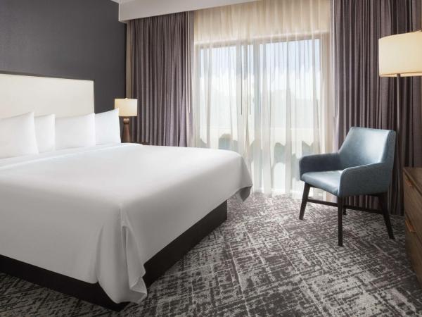 Hilton Charlotte Airport Hotel : photo 4 de la chambre queen suite - mobility accessible with tub