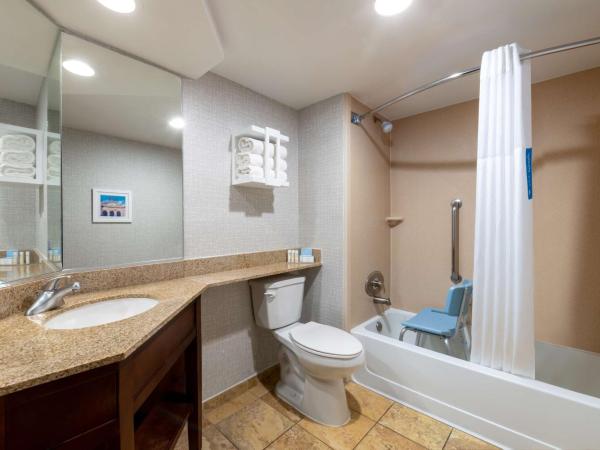 Hampton Inn Denver-International Airport : photo 5 de la chambre chambre lit king-size - accessible aux personnes à mobilité réduite - non-fumeurs