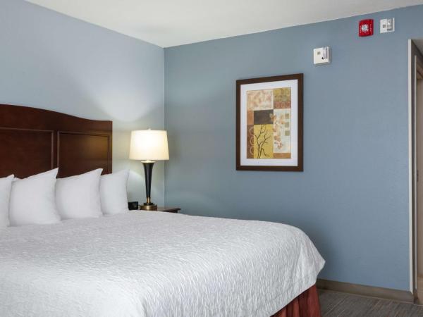 Hampton Inn Denver-International Airport : photo 1 de la chambre chambre lit king-size - adaptée aux personnes malentendantes - non-fumeurs