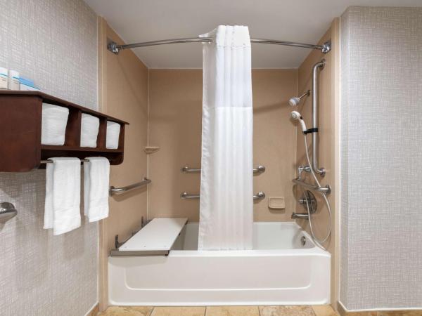 Hampton Inn Denver-International Airport : photo 4 de la chambre chambre lit king-size - accessible aux personnes à mobilité réduite - non-fumeurs