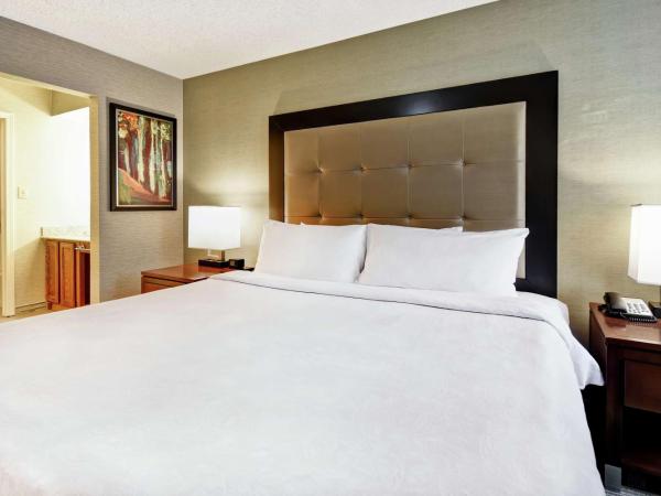 Homewood Suites by Hilton Atlanta-Galleria/Cumberland : photo 2 de la chambre suite 1 chambre lit king-size - non-fumeurs