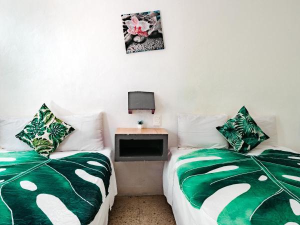 Hotel Posada Edem : photo 3 de la chambre chambre standard 2 lits doubles avec climatisation - vue sur jardin