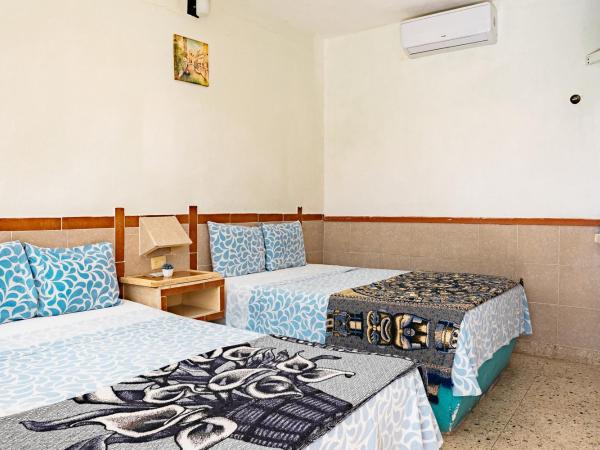 Hotel Posada Edem : photo 2 de la chambre chambre standard 2 lits doubles avec climatisation - vue sur jardin