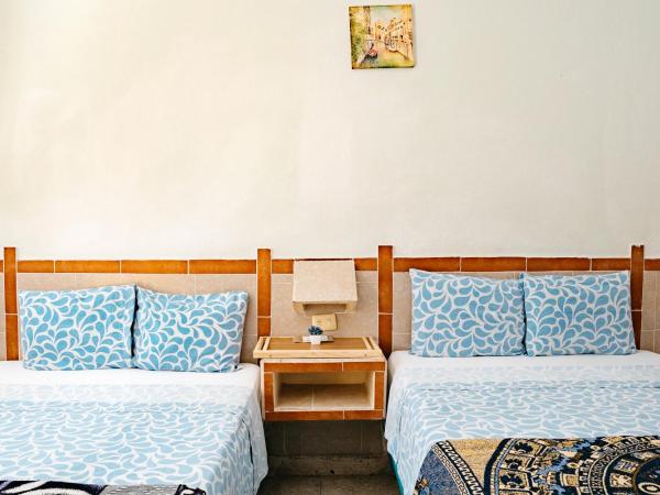 Hotel Posada Edem : photo 7 de la chambre chambre standard 2 lits doubles avec climatisation - vue sur jardin