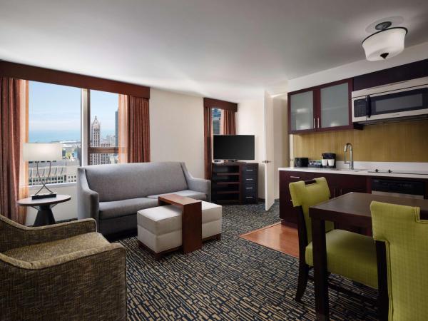 Homewood Suites by Hilton Chicago Downtown - Magnificent Mile : photo 1 de la chambre suite 1 chambre avec vue

