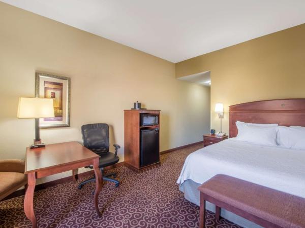 Hampton Inn & Suites Oklahoma City - South : photo 3 de la chambre chambre lit king-size - adaptée aux personnes malentendantes - non-fumeurs