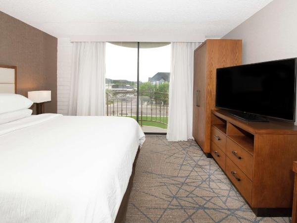 Embassy Suites by Hilton Colorado Springs : photo 2 de la chambre king suite with accessible tub - mobility and hearing access/non-smoking