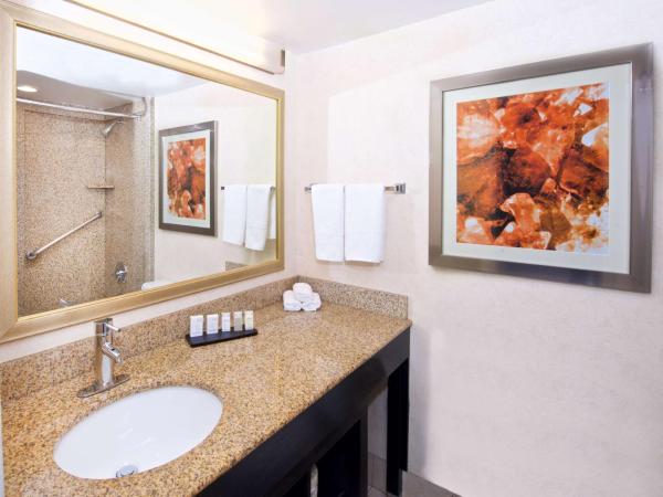 Embassy Suites by Hilton Colorado Springs : photo 6 de la chambre suite lit king-size – non-fumeurs