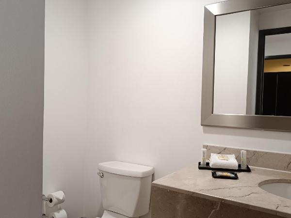 La Quinta by Wyndham Puebla Palmas Angelopolis : photo 2 de la chambre presidential suite with view - non-smoking