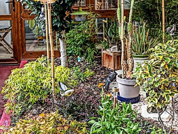 Un moment de douceur : photo 7 de la chambre chambre double - vue sur jardin