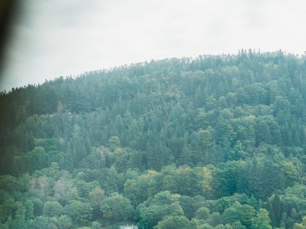 S54 - Private Rooms in the City Center : photo 3 de la chambre chambre familiale