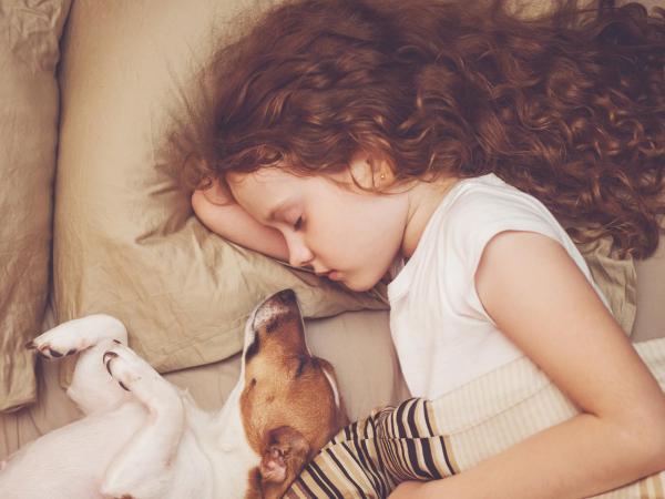 First Hotel Millennium : photo 6 de la chambre chambre familiale 4