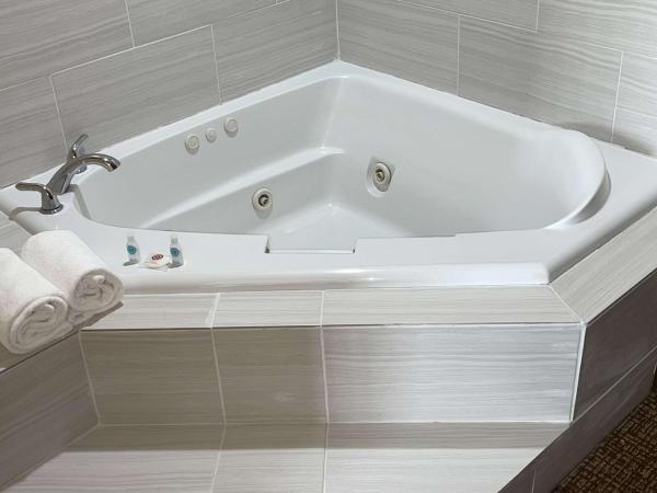 Comfort Suites Near Seaworld : photo 2 de la chambre suite lit king-size avec jacuzzi - non-fumeurs