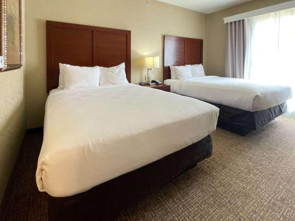 Comfort Suites Near Seaworld : photo 2 de la chambre suite 2 lits queen-size - non-fumeurs