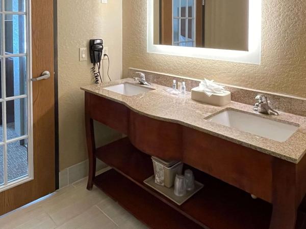 Comfort Suites Near Seaworld : photo 3 de la chambre suite lit king-size – non-fumeurs