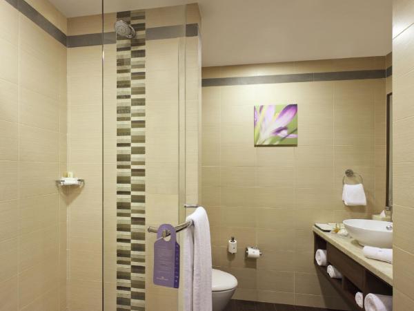 Hilton Garden Inn New Delhi/Saket : photo 3 de la chambre chambre lits jumeaux premium