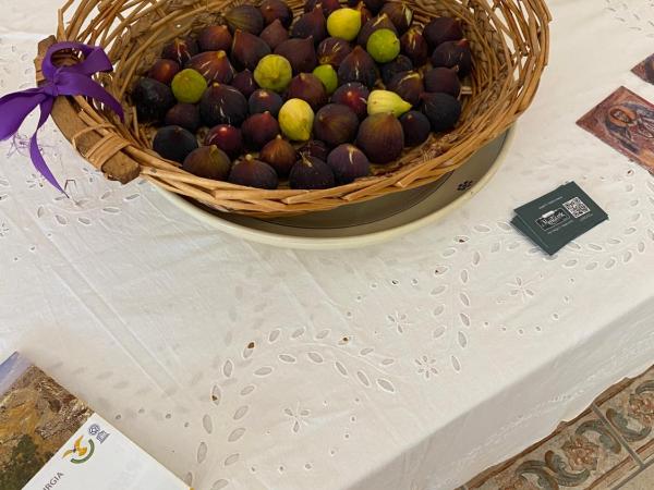 Villa Vittoria : photo 1 de la chambre appartement avec douche