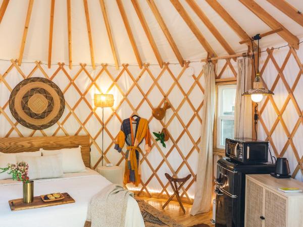 Camposanto Glamping - The Macaw Yurt : photo 6 de la chambre tente