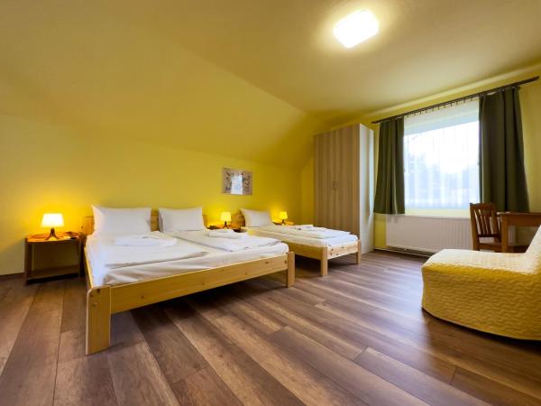 Írisz Panzió : photo 2 de la chambre chambre familiale avec terrasse