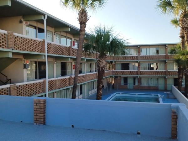 Palmsbythebeach : photo 2 de la chambre chambre familiale - vue sur mer