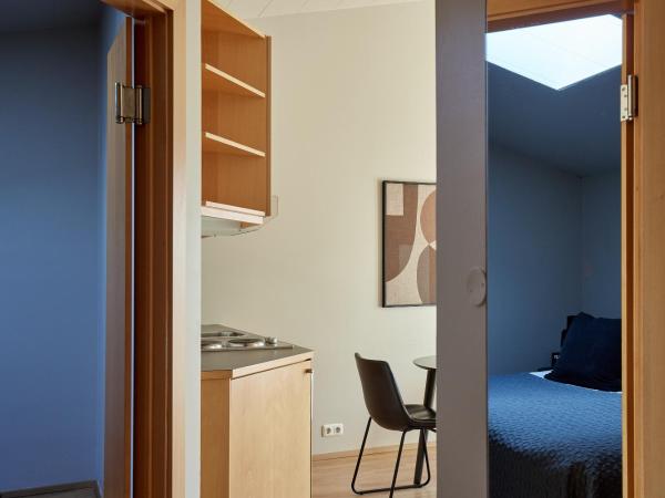 Hotel Frón : photo 10 de la chambre appartement 1 chambre