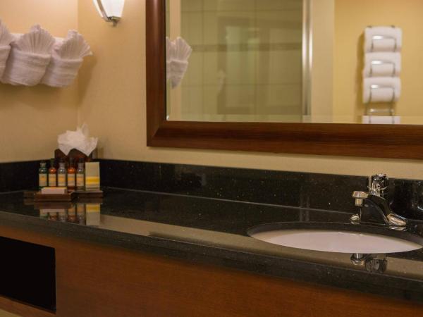 Baltimore Marriott Inner Harbor at Camden Yards : photo 1 de la chambre chambre lit king-size avec canapé-lit