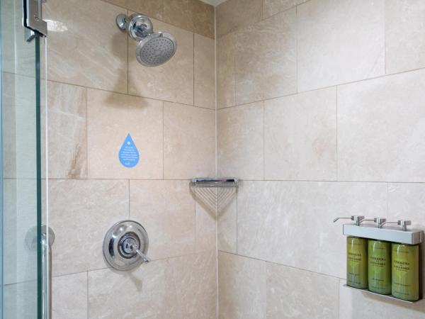 Hilton Americas - Houston : photo 1 de la chambre chambre lit king-size bien-Être pure