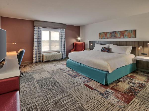 Hilton Garden Inn Albuquerque/Journal Center : photo 2 de la chambre chambre lit king-size avec douche accessible en fauteuil roulant - adaptée aux personnes à mobilité réduite
