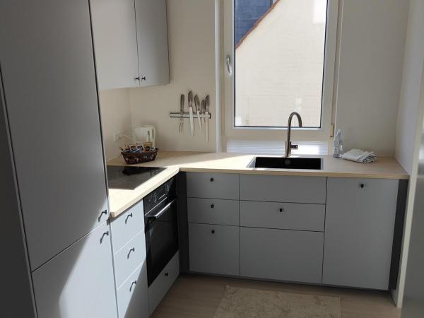 Aalborg City Rooms ApS : photo 5 de la chambre appartement avec douche