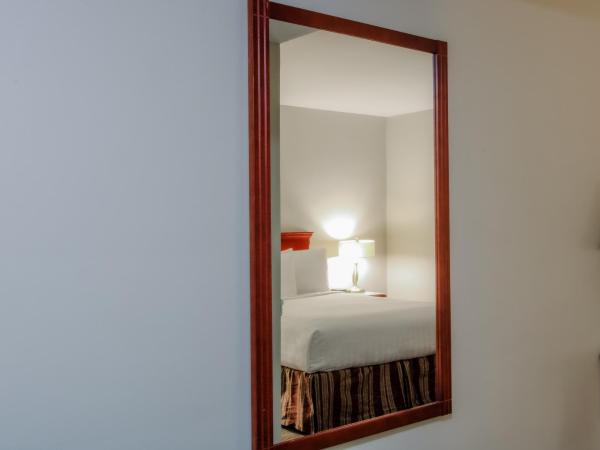 Scott's Inn & Suites : photo 5 de la chambre chambre double standard 