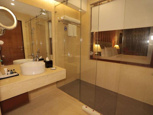 Radisson Blu Udaipur Palace Resort & Spa : photo 4 de la chambre chambre deluxe