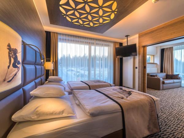 Rezydencja Nosalowy Dwór : photo 3 de la chambre appartement