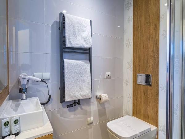 Rezydencja Nosalowy Dwór : photo 6 de la chambre appartement