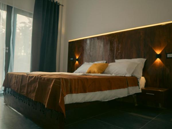 Villa Taouzert : photo 8 de la chambre chambre double deluxe